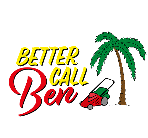 Better Call Ben